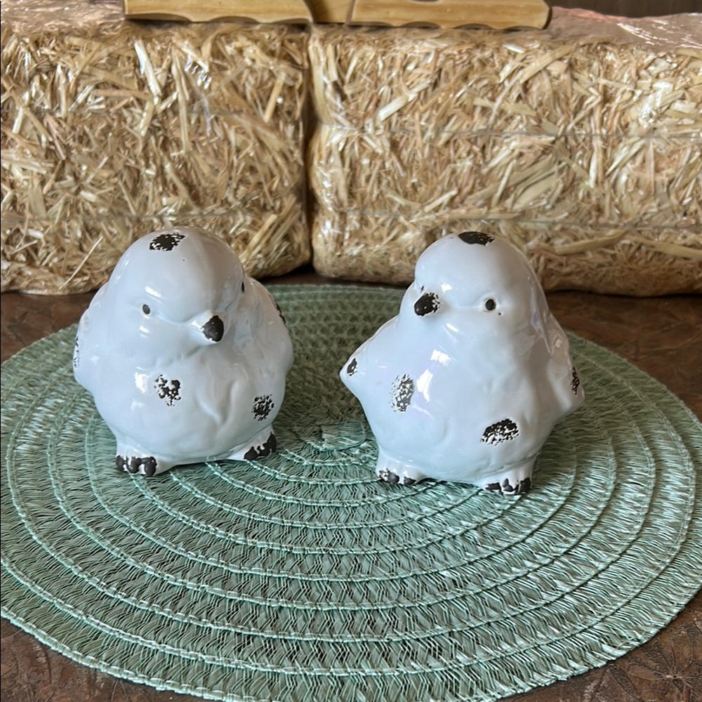Ceramic Bird Figurines - White with Black Accents